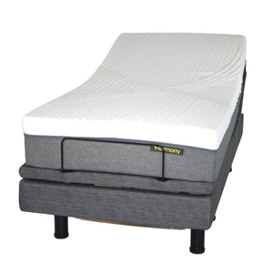 Golden Passport Hi-Low Adjustable Bed w/ Massage